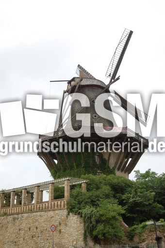 Sanssouci Mühle 1.JPG